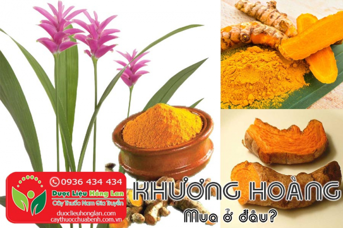 Mua bán Khương hoàng giá từ 110.000đ/kg giao hàng toàn quốc