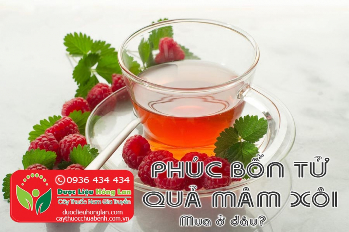 Mua bán Phúc bổn tử (quả mâm xôi) giá từ 290.000đ/kg giao hàng toàn quốc