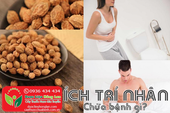 Mua bán hạt ích trí nhân giá từ 320.000đ/kg giao hàng toàn quốc