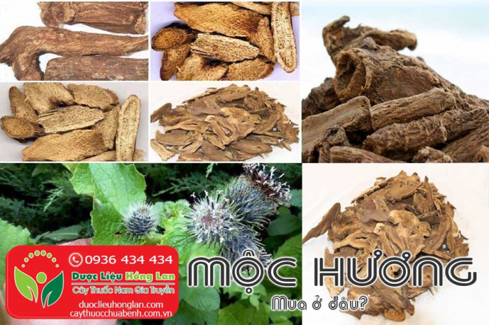 Mua bán Mộc hương giá từ 150.000đ/kg giao hàng toàn quốc