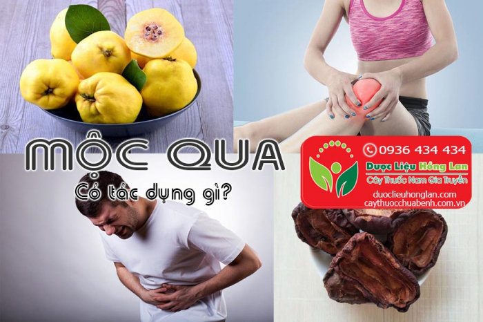 Mua bán Mộc qua giá từ 150.000đ/kg giao hàng toàn quốc