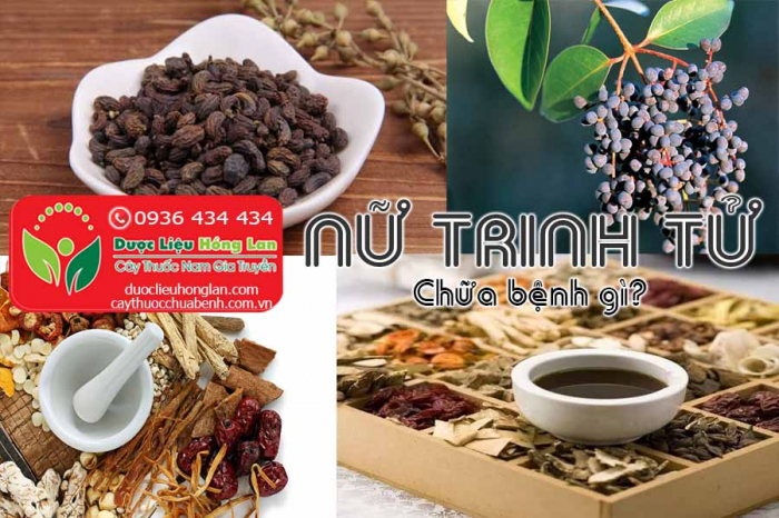 Mua bán Nữ trinh tử giá từ 170.000đ/kg giao hàng toàn quốc