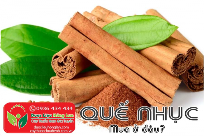 Mua bán Quế nhục giá từ 80.000đ/kg giao hàng toàn quốc