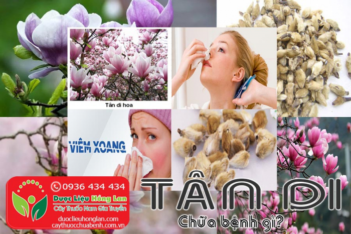 Mua bán Tân di giá từ 270.000đ/kg giao hàng toàn quốc